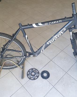 telaio bicicletta
