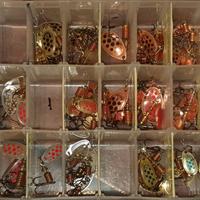 Pesca spinning rotanti