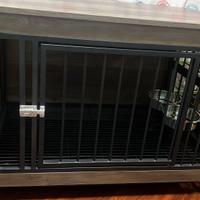 kennel x cani di tagia media