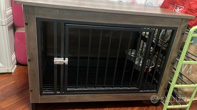 kennel x cani di tagia media