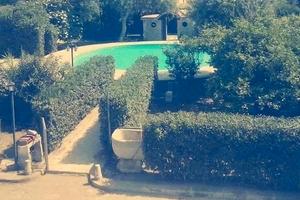 Appartamento in residence con piscina