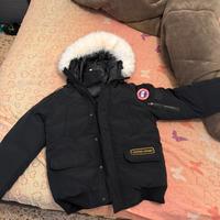 canada goose