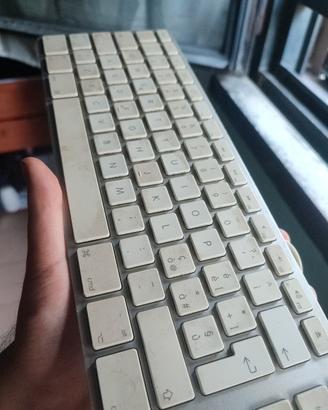 Tastiera Apple (A1243) 