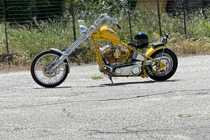 Harley davidso special chopper