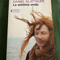 La settima onda, Daniel Glattauer