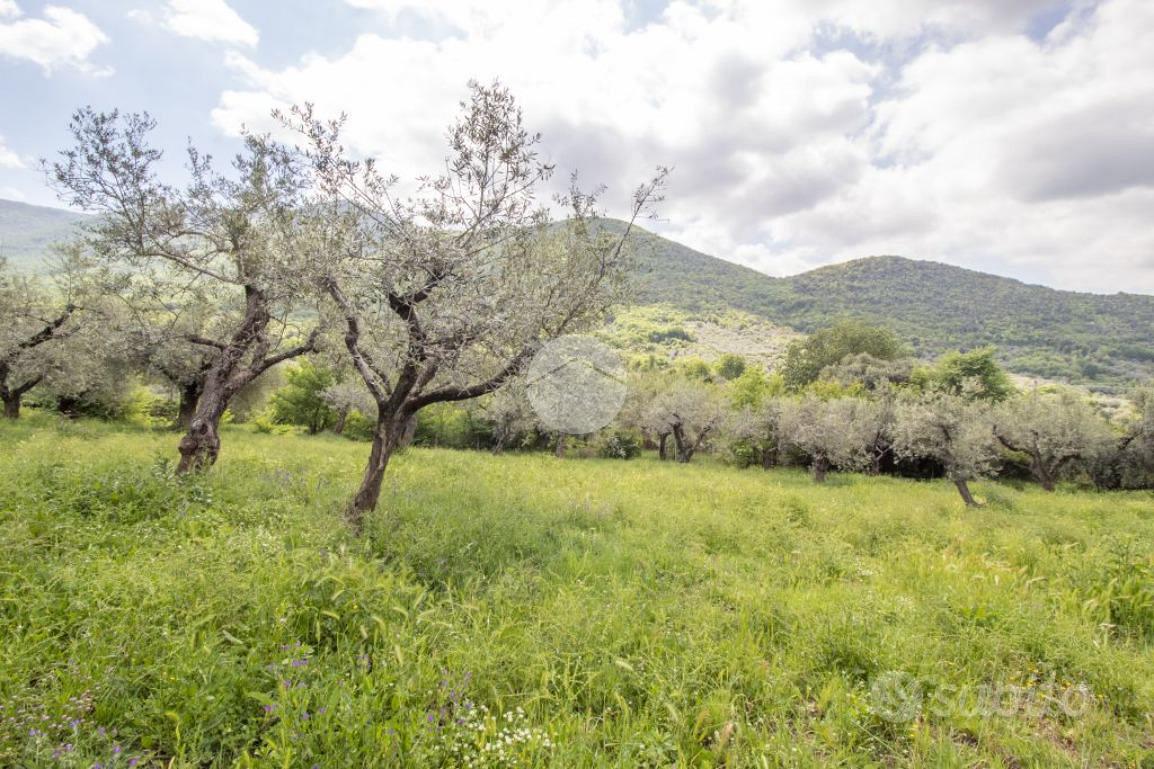 TER. AGRICOLO A PALOMBARA SABINA - Vista 5