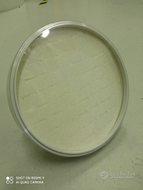 Espositori porta anelli