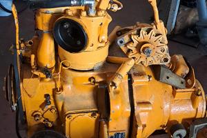 Motore entrobordo faryman 9,5 cv