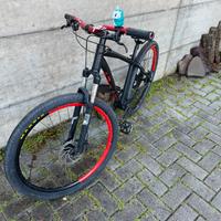 Wheelie bike
