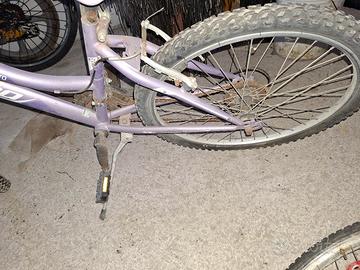 bici 24 donna 