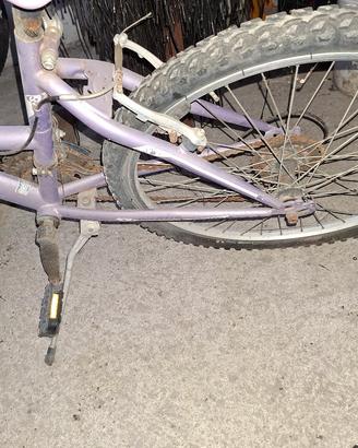 bici 24 donna 