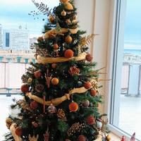Albero di natale