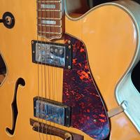 chitarra semi acustica tamaki 