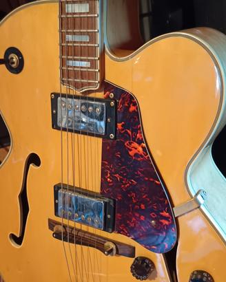 chitarra semi acustica tamaki 