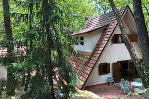 Chalet nel bosco