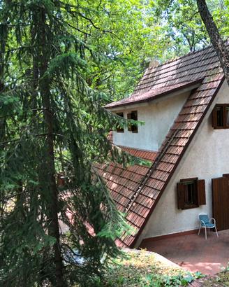Chalet nel bosco