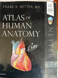 Atlante anatomia umana