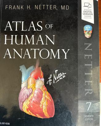 Atlante anatomia umana