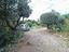Immagine 17