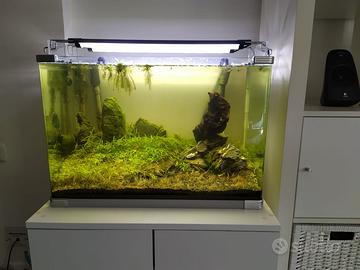 Set Acquario Professionale Aquascaping -