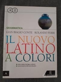 il nuovo latino a colori - grammatica 