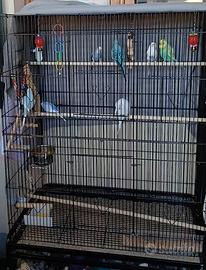 gabbia+ supporto XXL