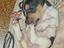 Immagine 1
