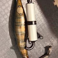 Polini evolution for race mbk