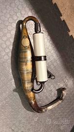 Polini evolution for race mbk