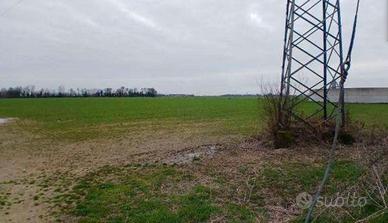 RGE 381/2023 Tribunale Verona - Lotto 6)