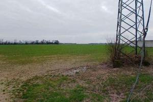 RGE 381/2023 Tribunale Verona - Lotto 6)