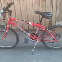 MTB Faema 24