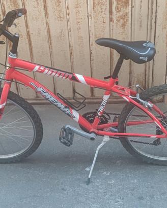 MTB Faema 24