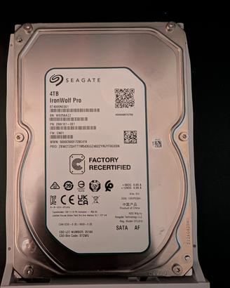 Seagate Ironwolf Pro 4 TB