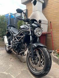 Suzuki SV650 - 2024 - con soli 2.500 km
