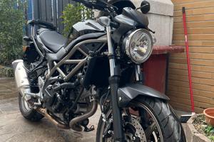 Suzuki SV650 - 2024 - con soli 2.500 km