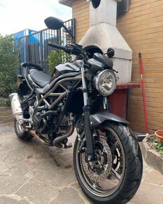 Suzuki SV650 - 2024 - con soli 2.500 km