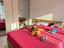 Immagine 11