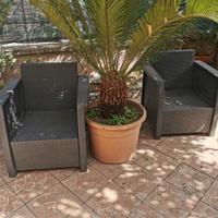 Poltroncine da Giardino 