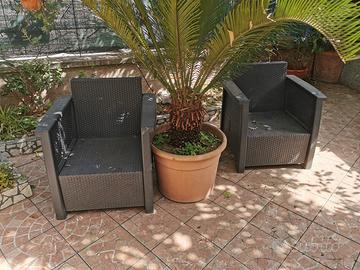 Poltroncine da Giardino 
