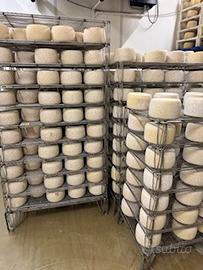 Griglie scaffalatura attrezzatura formaggi