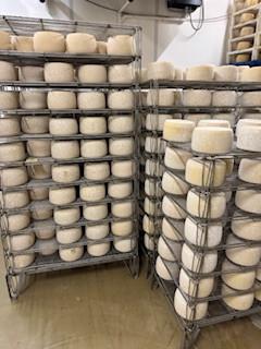 Griglie scaffalatura attrezzatura formaggi
