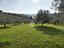 Immagine 14
