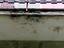 Immagine 24