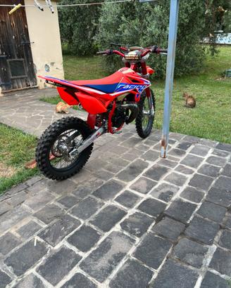 beta rr 50 enduro