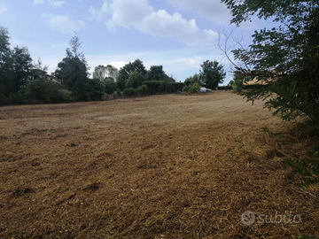 Terreno semi pianeggiante