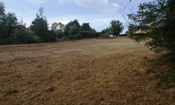 Terreno semi pianeggiante