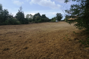 Terreno semi pianeggiante