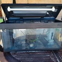 acquario 