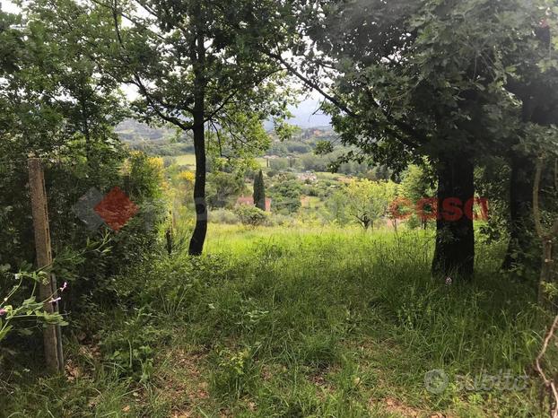 Terreno Agricolo Tivoli [Cod. rif 3233623ACG]
